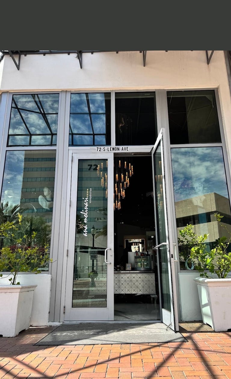 Modern storefront entrance with white glass doors, potted plants on sides, brick patio, and address 72-5 Lemon Ave visible above door